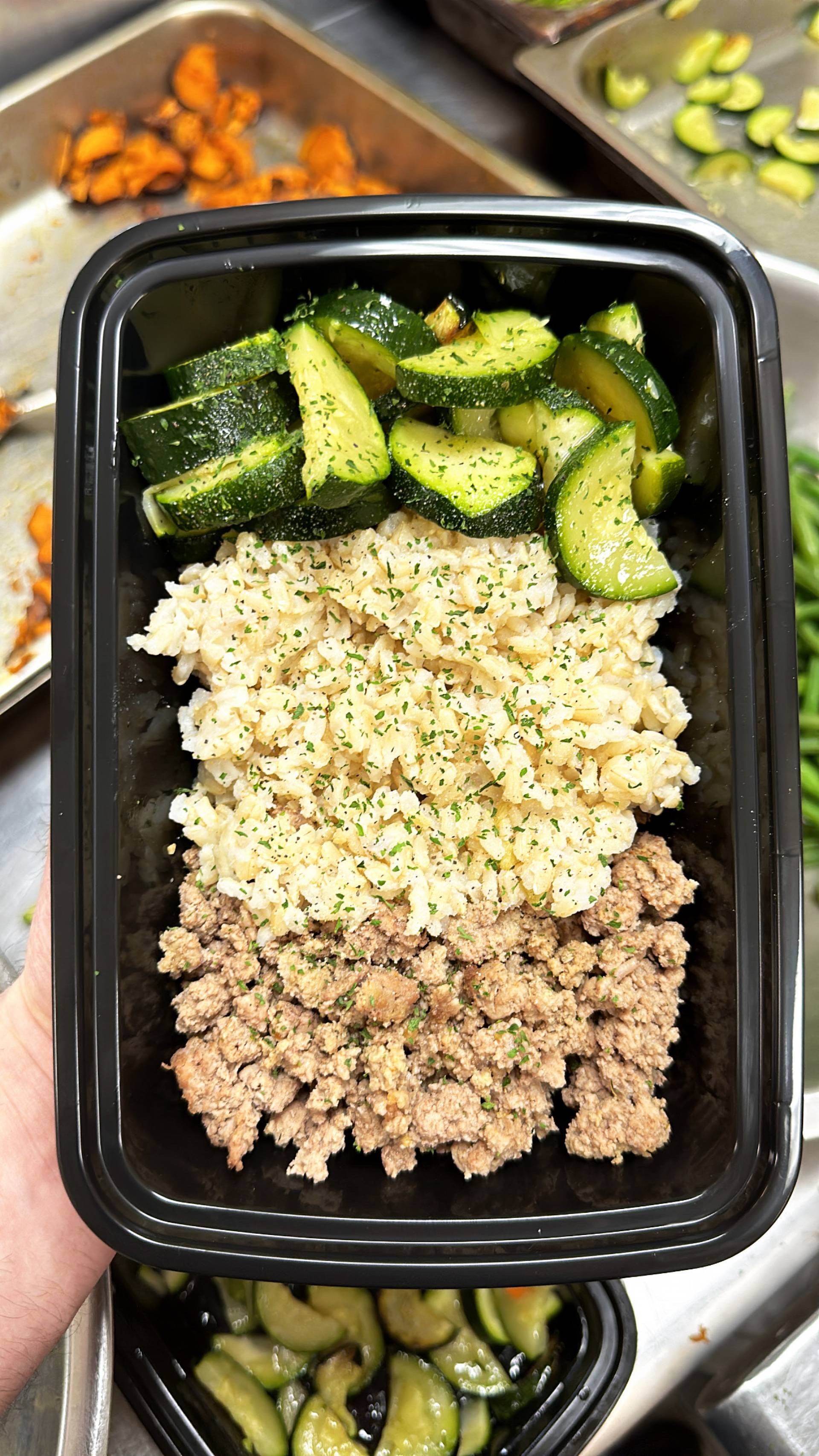 Turkey + Rice ( Brown ) + Zucchini