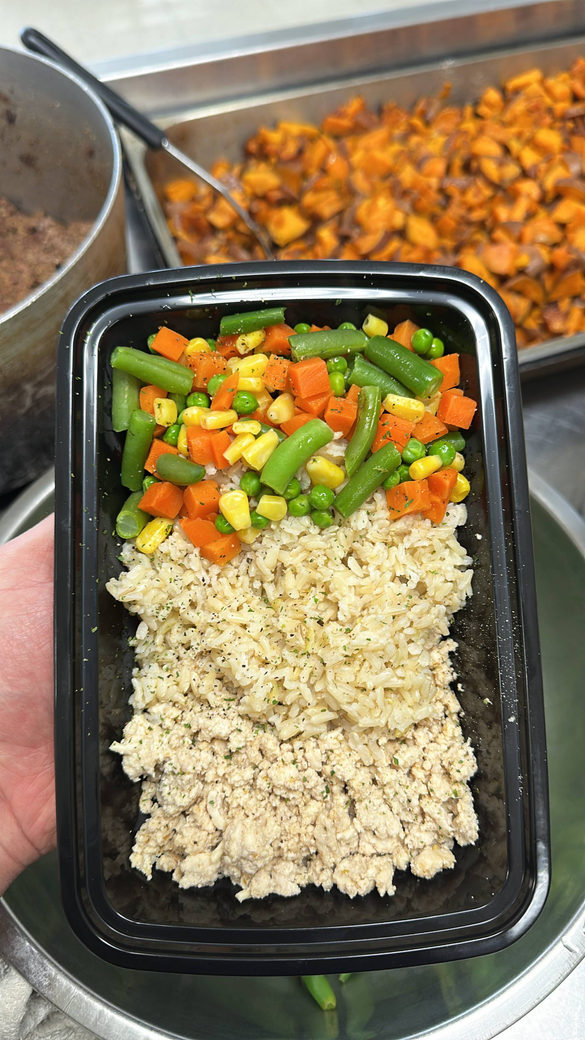 Ground Chicken + Rice ( Brown ) + Mixed Veg