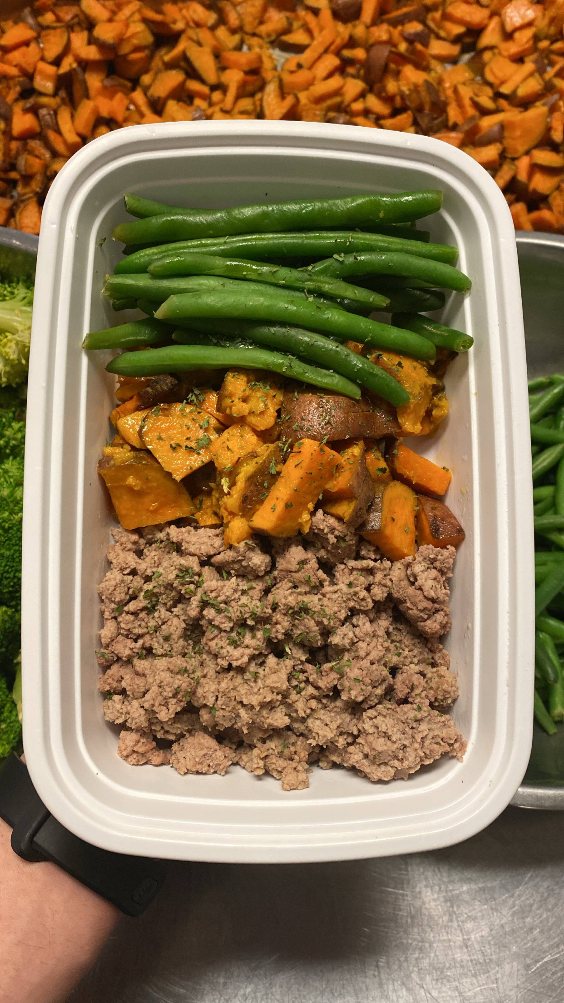 Turkey + Sweet Potato + Green Beans