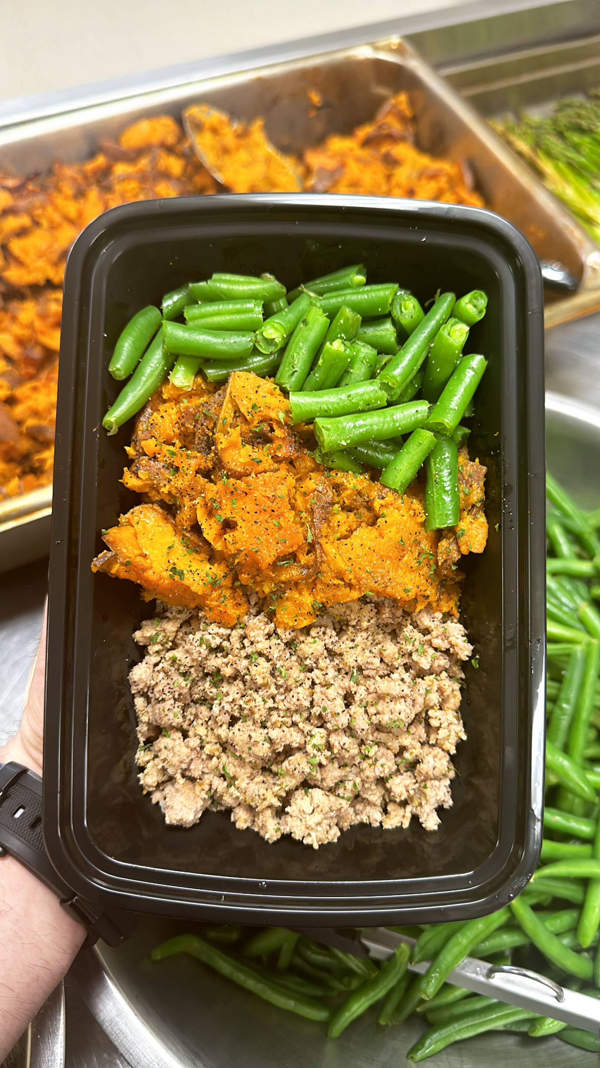 Turkey + Sweet Potato + Green Beans